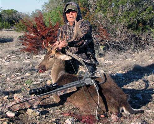 Texas elk hunting